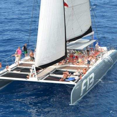 Excursion 4.5 horas Freebird - Walvissen of dolfijnen kijken per boot op Tenerife met Freebird