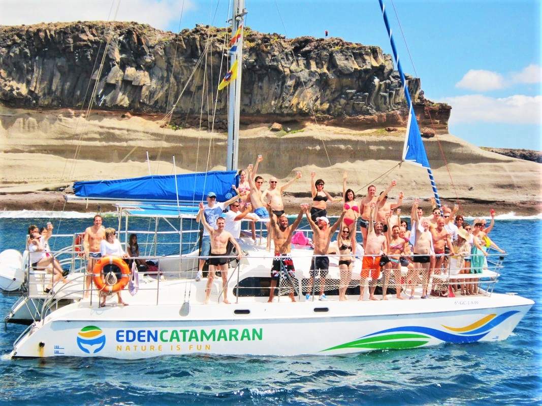 3-uur durende excursie met Eden catamaran om dolfijnen en/of walvissen te zien